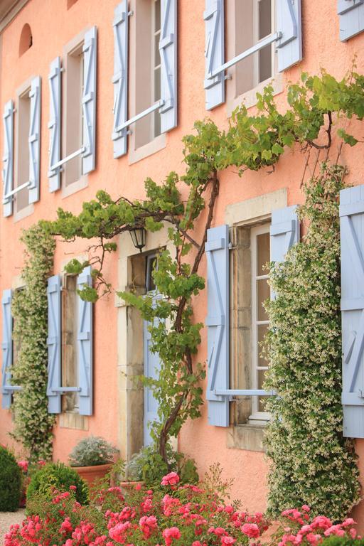 La Maison D'Anais Vic-en-Bigorre Bagian luar foto