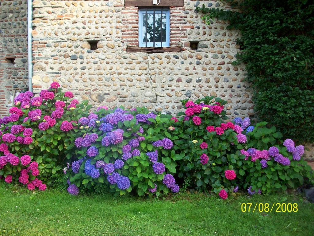 La Maison D'Anais Vic-en-Bigorre Bagian luar foto
