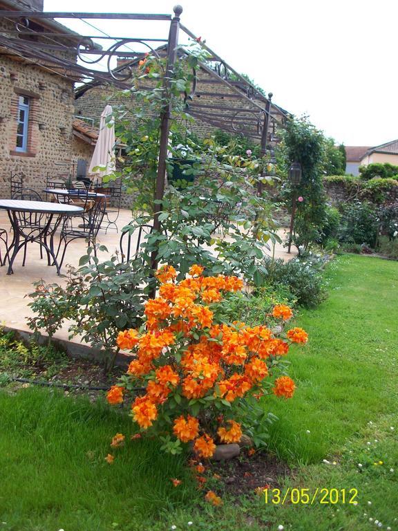 La Maison D'Anais Vic-en-Bigorre Bagian luar foto
